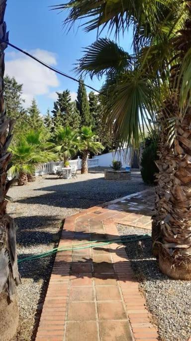 Вілла Charming House With Pool & Barbecue Valle de Abdalagis Екстер'єр фото